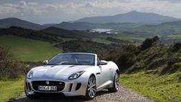 Jaguar F-Type V6S Rhodium Silver - widok z przodu