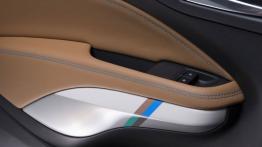 Opel Adam Rocks Concept (2013) - drzwi kierowcy od wewnątrz