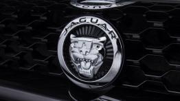 Jaguar F-Type V6S Rhodium Silver - logo