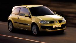 Renault Megane 2003 - przód - inne ujęcie
