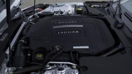 Jaguar F-Type V6S Rhodium Silver - maska otwarta