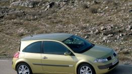 Renault Megane 2003 - prawy bok