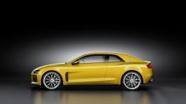 Audi Sport Quattro Concept (2013) - lewy bok