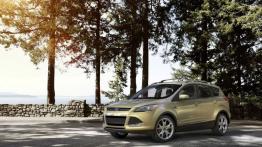 Ford Escape 2013 - lewy bok