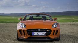 Jaguar F-Type V8S Firesand - widok z przodu