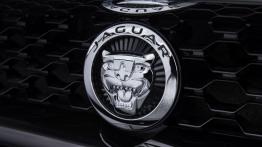 Jaguar F-Type V8S Firesand - logo