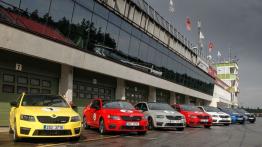 Skoda Octavia III RS Liftback (2013) - testowanie auta