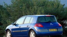 Renault Megane 2003 - widok z tyłu