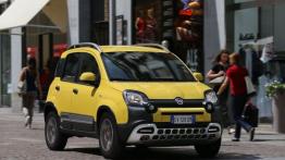 Fiat Panda III Cross (2014) - widok z przodu