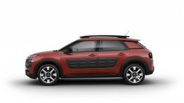 Citroen C4 Cactus (2014) - lewy bok