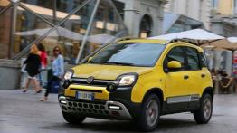 Fiat Panda III Cross (2014) - widok z przodu