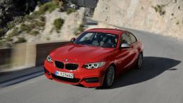 BMW serii 2 Coupe (2014) - widok z przodu
