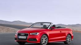 Audi A3 III Cabriolet 2.0 TDI (2014) - widok z przodu
