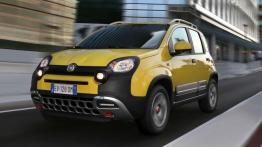 Fiat Panda III Cross (2014) - widok z przodu