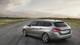 Peugeot 308 SW II (2014) - widok z tyłu