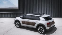 Citroen C4 Cactus (2014) - widok z góry