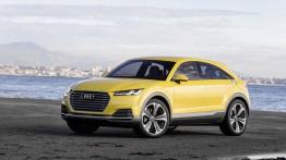 Audi TT offroad concept (2014) - lewy bok