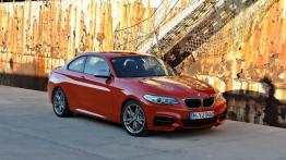 BMW serii 2 Coupe (2014) - widok z przodu