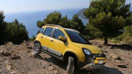 Fiat Panda III Cross (2014) - prawy bok