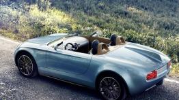 Mini Superleggera Vision Concept (2014) - widok z góry