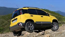 Fiat Panda III Cross (2014) - prawy bok