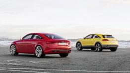 Audi TT offroad concept (2014) - widok z tyłu