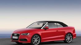 Audi A3 III Cabriolet 2.0 TDI (2014) - lewy bok