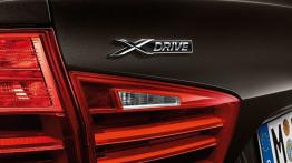 BMW serii 5 Touring F11 Facelifting (2014) - emblemat