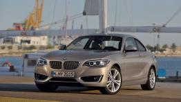 BMW serii 2 Coupe (2014) - widok z przodu