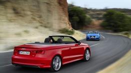 Audi A3 III Cabriolet 2.0 TDI (2014) - widok z tyłu