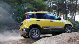 Fiat Panda III Cross (2014) - prawy bok