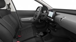 Citroen C4 Cactus (2014) - widok ogólny wnętrza z przodu