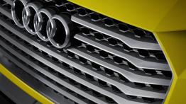 Audi TT offroad concept (2014) - grill