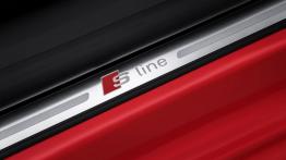 Audi A3 III Cabriolet 2.0 TDI (2014) - listwa progowa