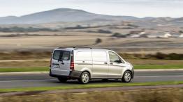 Mercedes Vito III Panel Van 116 CDI (2014) - widok z tyłu