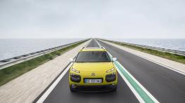 Citroen C4 Cactus (2014) - widok z przodu