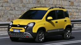 Fiat Panda III Cross (2014) - lewy bok