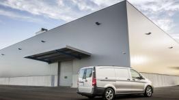 Mercedes Vito III Panel Van 116 CDI (2014) - widok z tyłu