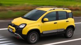 Fiat Panda III Cross (2014) - lewy bok