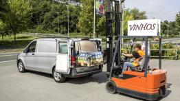 Mercedes Vito III Panel Van 116 CDI (2014) - tył - bagażnik otwarty