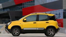 Fiat Panda III Cross (2014) - lewy bok