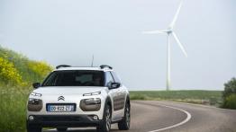 Citroen C4 Cactus (2014) - widok z przodu