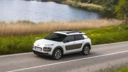 Citroen C4 Cactus (2014) - widok z przodu