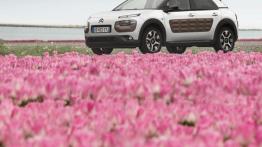 Citroen C4 Cactus (2014) - widok z przodu