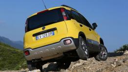 Fiat Panda III Cross (2014) - widok z tyłu