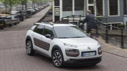 Citroen C4 Cactus (2014) - widok z przodu
