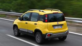 Fiat Panda III Cross (2014) - widok z tyłu