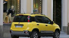 Fiat Panda III Cross (2014) - widok z tyłu