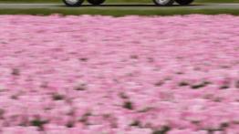 Citroen C4 Cactus (2014) - prawy bok