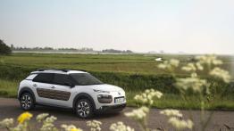 Citroen C4 Cactus (2014) - prawy bok